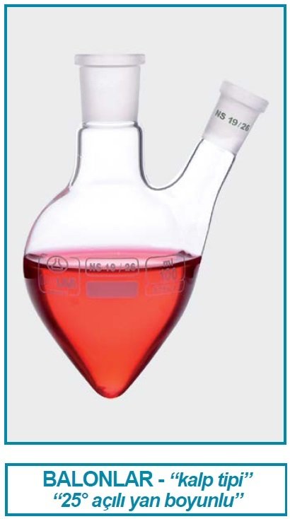 İSOLAB 030.54.050 balon - kalp tipi - şilifli - yan boyunlu - merkez boyun : NS 19/26 - yan boyun : NS 14/23 - 50 ml (1 adet)