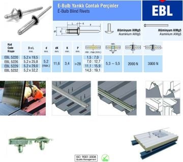 Alüminyum E-Bulb Contalı Yarıklı Perçin Güneş Paneli için 4.8x29 mm - 250 adet