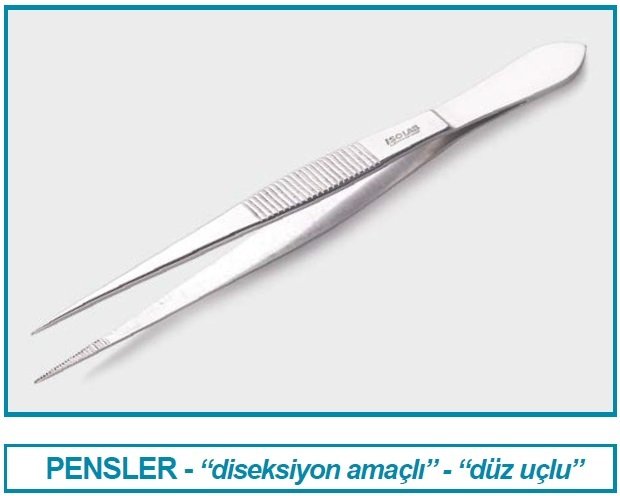 İSOLAB 048.07.150 pens - diseksiyon - sivri/düz - 150 mm (1 adet)