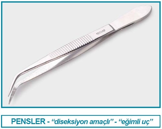 İSOLAB 048.08.105 pens - diseksiyon - sivri/kıvrık - 105 mm (1 adet)