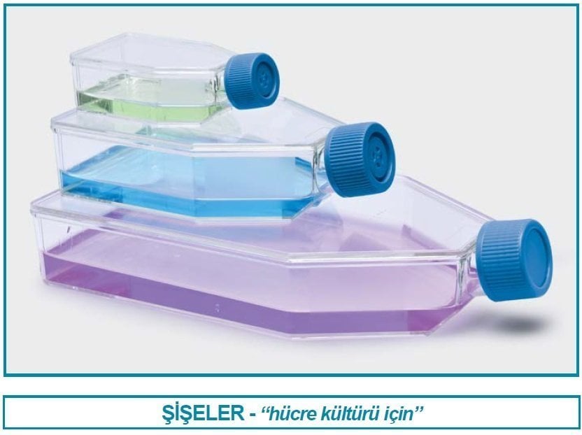 İSOLAB 120.11.025 şişe - hücre kültürü - geçirgen kapaklı - 25 cm2 - 7 ml (200 adet)