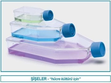 İSOLAB 120.11.075 şişe - hücre kültürü - geçirgen kapaklı - 75 cm2 - 25 ml (100 adet)