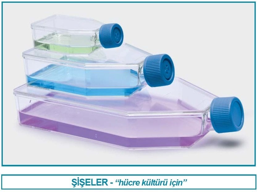 İSOLAB 120.12.025 şişe - hücre kültürü - kapalı kapaklı - 25 cm2 - 7 ml (200 adet)