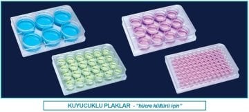 İSOLAB 122.11.096 plak - hücre kültürü - düz kuyulu 0.2 ml (100 adet)