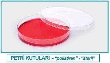 İSOLAB 081.02.061 petri kutusu - P.S - 60 x 15 mm - steril A (500 adet)