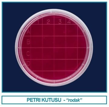 İSOLAB 081.04.160 petri kutusu rodak - 60 mm - gamma steril (500 adet)