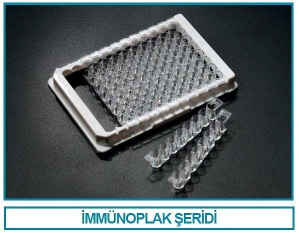 İSOLAB 121.06.096 immunoplate şeriti - bağlayıcı yüzeyli (100 adet)