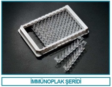 İSOLAB 121.06.096 immunoplate şeriti - bağlayıcı yüzeyli (100 adet)