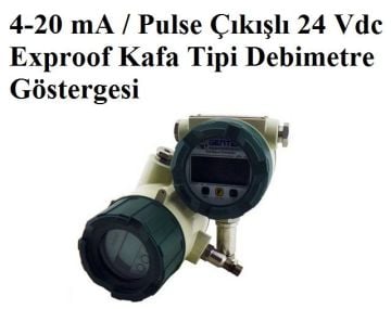4-20 mA / Pulse Çıkışlı 24 Vdc Exproof Kafa Tipi Debimetre Göstergesi