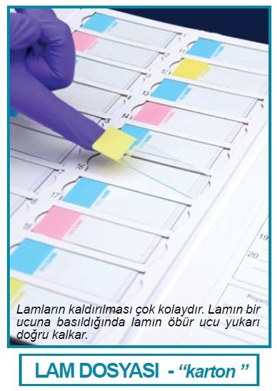 İSOLAB 076.01.001R lam dosyası - karton - kırmızı (1 adet)