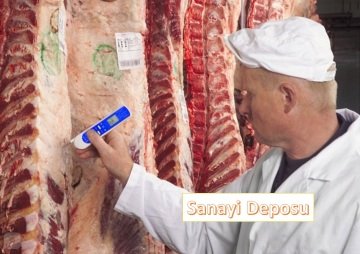 AMT 206 Lazerli ve Daldırma Problu Gıda Termometresi