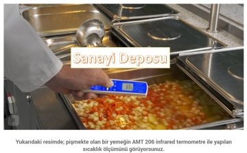 AMT 206 Lazerli ve Daldırma Problu Gıda Termometresi