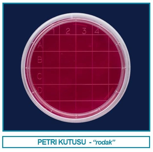 İSOLAB 081.04.160 petri kutusu rodak - 60 mm - gamma steril (500 adet)