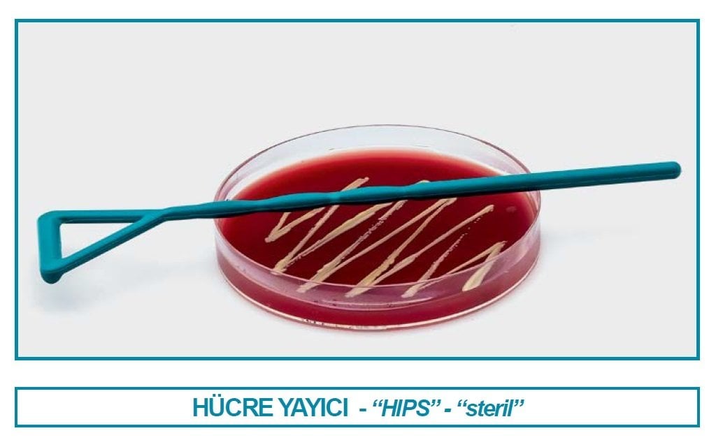 İSOLAB 082.03.001 sıyırıcı - hücre - HIPS - steril (100 adet)