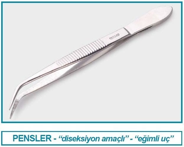 İSOLAB 048.08.105 pens - diseksiyon - sivri/kıvrık - 105 mm (1 adet)
